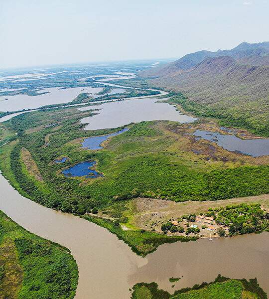 O que você precisa saber para entender a recente tragédia no Pantanal