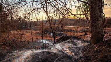 Orçamento do Ministério do Meio Ambiente para 2021 é o menor em 21 anos