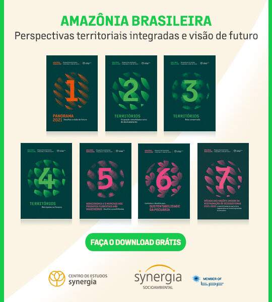 Serie Amazonia brasileña: todo lo que hay que saber para entender la importancia del territorio para Brasil y el mundo