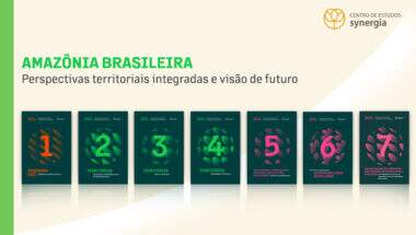 Serie Amazonia brasileña: todo lo que hay que saber para entender la importancia del territorio para Brasil y el mundo