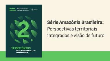 Current Amazonian socio-environmental picture: Volume 2 of the Brazilian Amazon Series addresses the formation of territorial dynamics