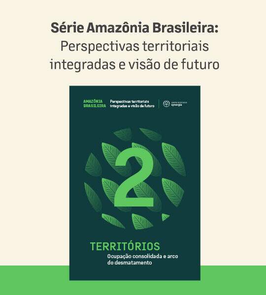 Current Amazonian socio-environmental picture: Volume 2 of the Brazilian Amazon Series addresses the formation of territorial dynamics