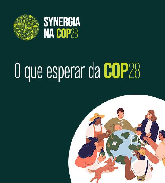 Qué esperar de la COP28 en Dubái