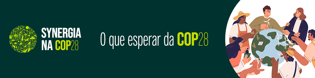 COP 28 - O que precisas saber sobre a Conferência das Partes