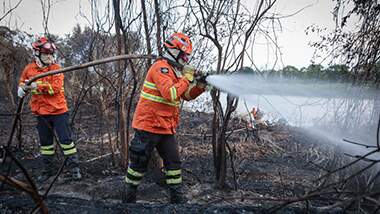 Incendios en el Pantanal: el Parque Estatal Encontro das Águas, principal refugio de jaguares, es la zona más afectada