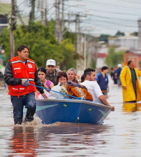 Día del Bosque y el Clima: comprenda la relación entre el cambio climático, la sequía en la Amazonía y las inundaciones en el sur de Brasil