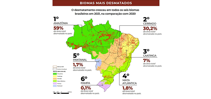 Mapa de destamamento dos biomas brasileiros. Foto: MapBiomas