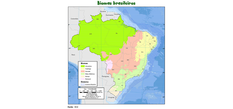 Como os biomas brasileiros se dividem no território nacional. Foto: IBGE