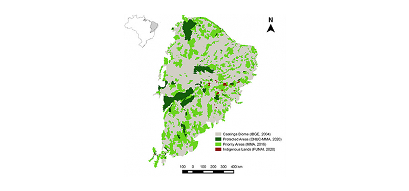 área de áreas prioritárias de conservação da Caatinga. Foto: IBGE/Edgar Digital