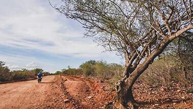 O semiárido frente à desertificação e seca: quais as possíveis soluções?