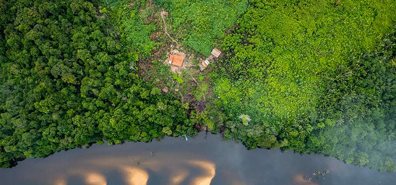 A imagem mostra a capa do documentário, que é a região do Médio Xingu vista de cima. Ela exibe a vegetação da área e o Rio Xingu.