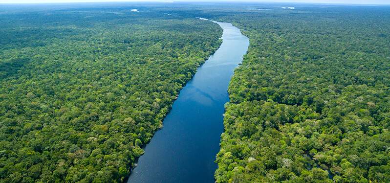 Rio na Amazônia. Foto: Adobe Stock